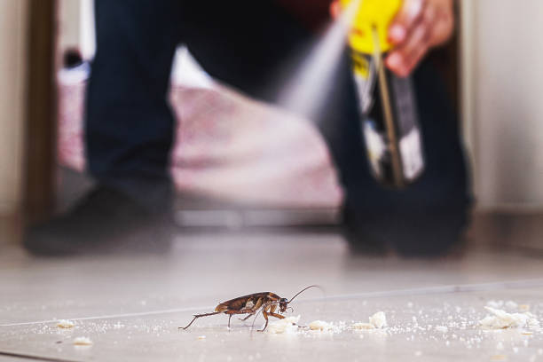 Best Commercial Pest Control Services  in North Shore, CA